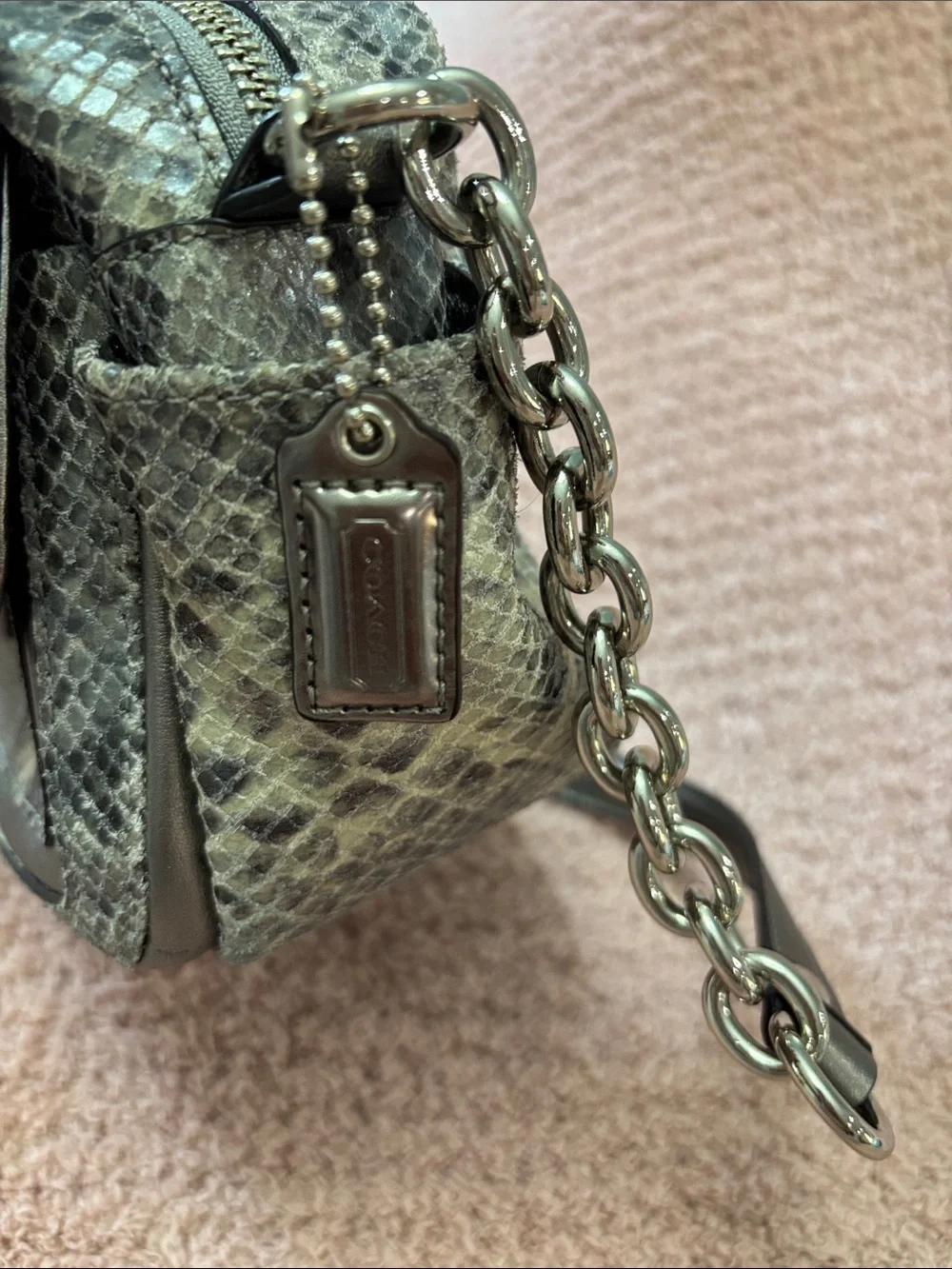 Coach Women’s Snake-Embossed Crossbody Bag in Gray